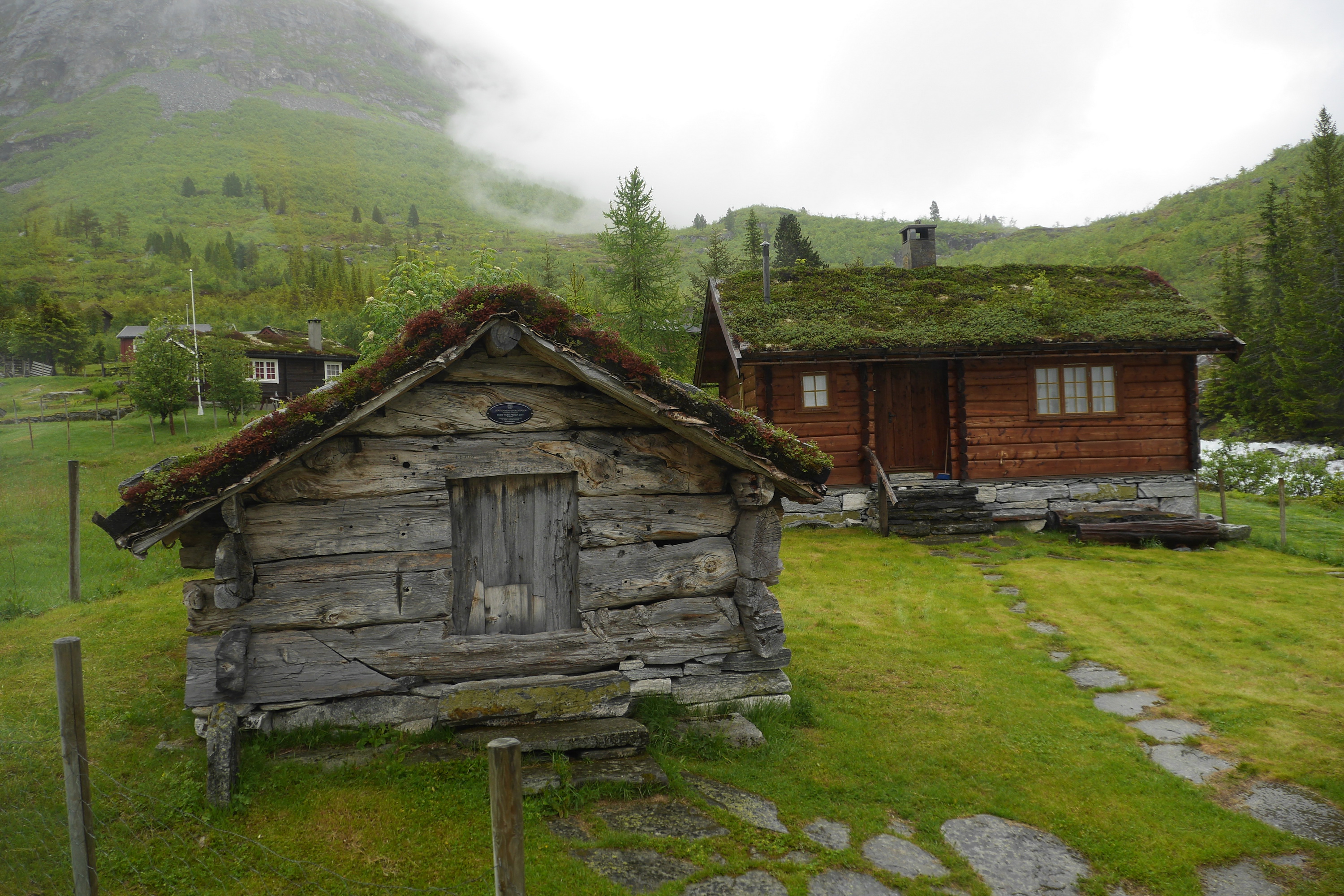 Busausflug Geiranger mit Trollstigen